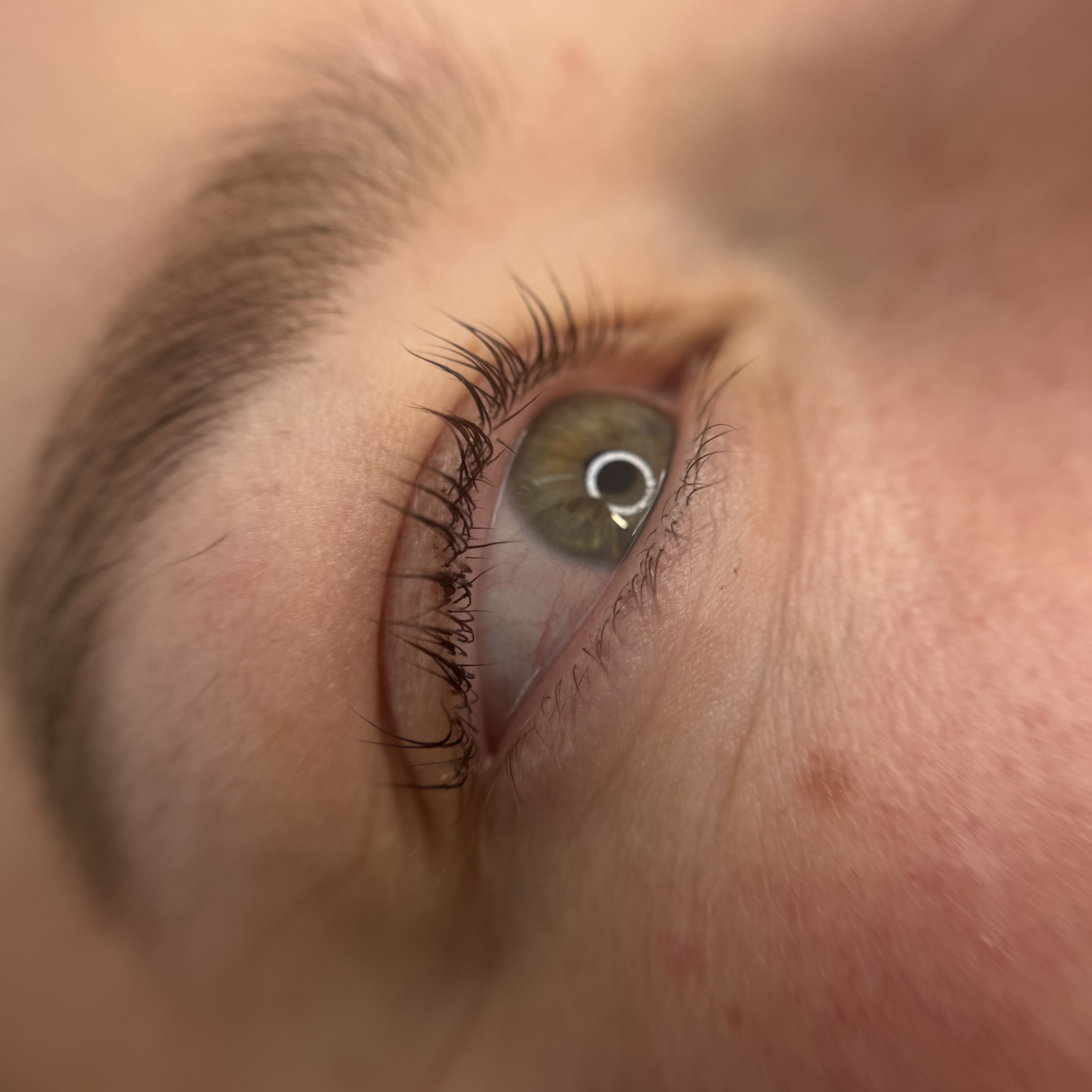 Lash lift à Dijon sur une femme à la peau claire, yeux noisette, cils fins subtilement recourbés