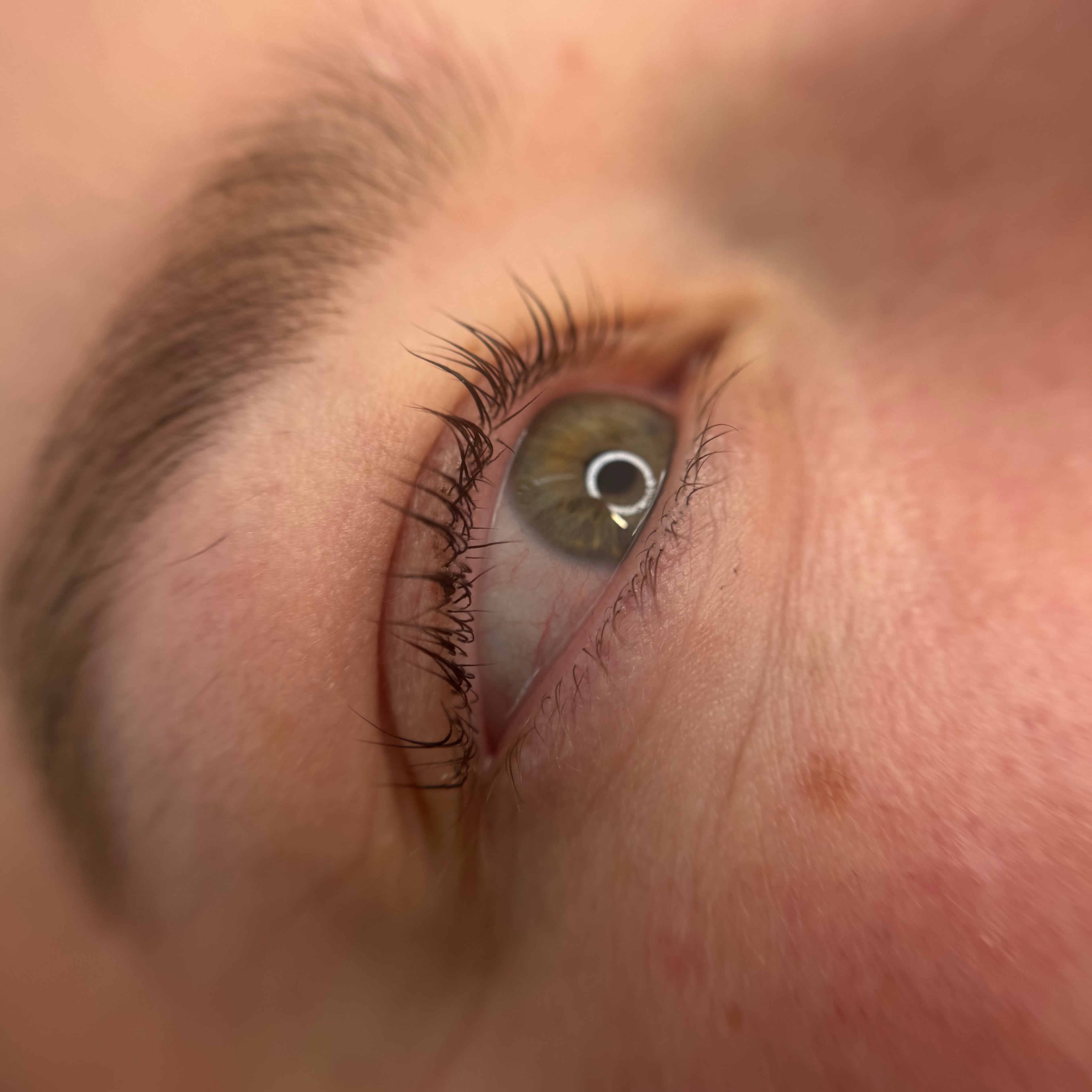 Lash lift à Dijon sur une femme à la peau claire, yeux noisette, cils fins subtilement recourbés